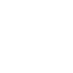 AURES Client Image